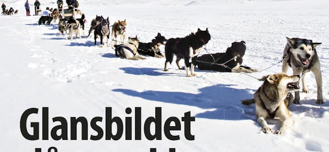 Svalbardposten-guidebransjen-forside