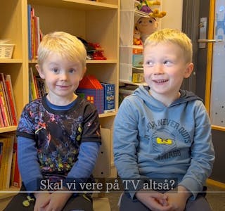 Vestlandsnytt-TV