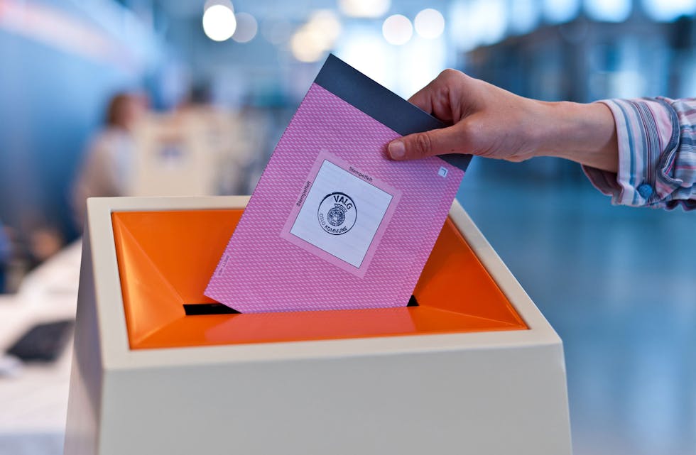 Valg_Foto-Tore-Fjeld